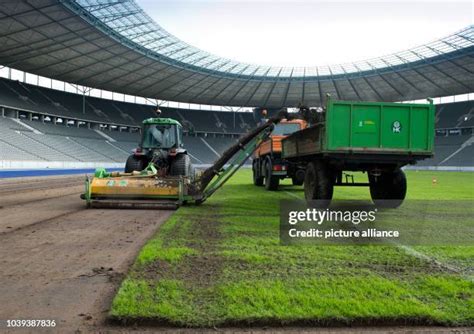 426 Turf Maintenance Stock Photos, High-Res Pictures, and Images - Getty Images