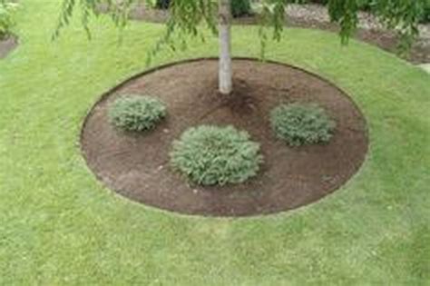 Lawn Edging for Tree Rings - Landscape Edging Blog