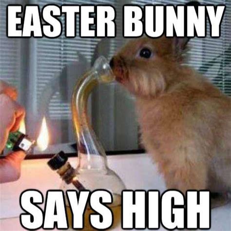 50+ Funny Easter Bunny Memes 2024 To Make Anyone Hop with Laughter