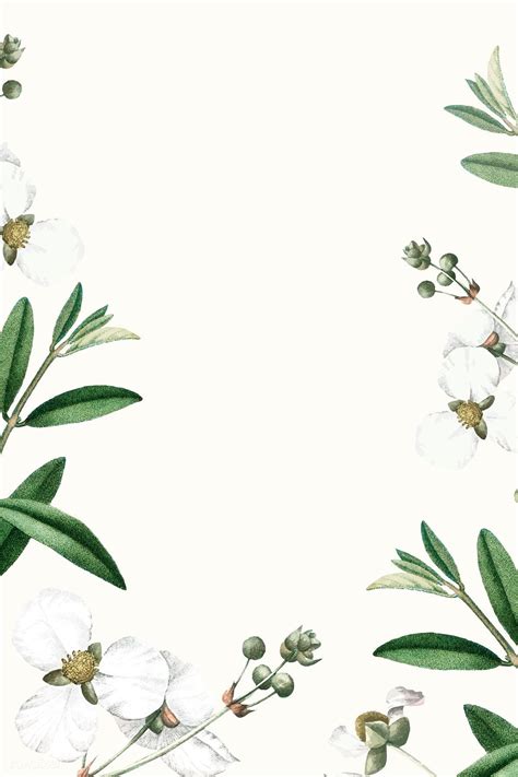 White flower on a beige background vector template | premium image by rawpixel.com / Kappy ...