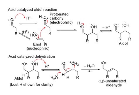 Aldol Condensation - Mechanism of Aldol Condensation | BYJU'S