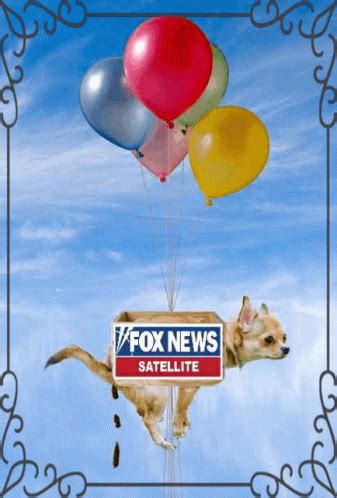 Fox News GIF - Fox News - Discover & Share GIFs