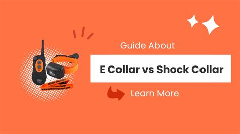 E Collar vs. Shock Collar: Choosing the Right Training Aid for Pet