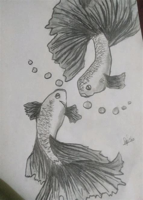 Tropical Fish Drawing In Pencil