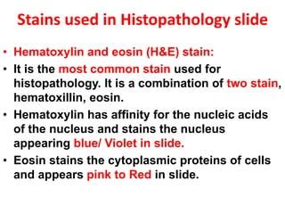 introduction to pathology, tissue processing. Histopathology and cytopathology techniques | PPT