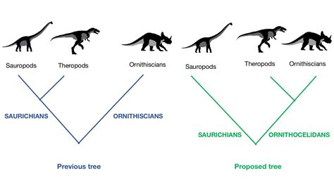 A student’s curiosity might change how we classify dinosaurs | NOVA | PBS