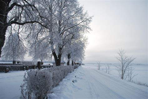 Swedish winter 4 by RogerUlf on DeviantArt