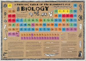 Periodic Table of the Elements for Biology | VWR