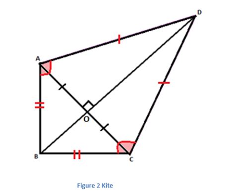 Different Types of Quadrilaterals and Their Properties @ BYJU'S