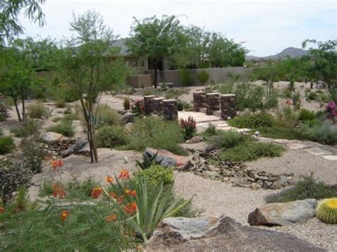 Desert Landscaping Ideas