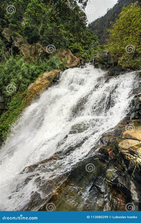 Ravana Ella Falls stock image. Image of plant, drop - 113080299