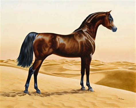 File:Arab horse painting animals arabian ainting by William Barraud ...