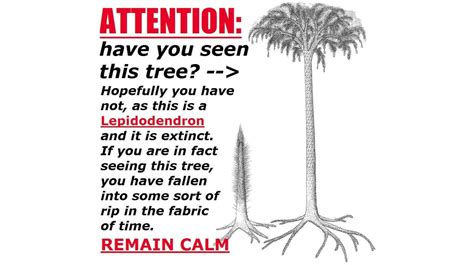 Lepidodendron Tree / Attention: Have You Seen This Tree? | Know Your Meme