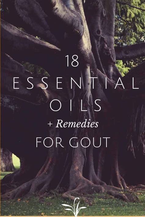 11 Essential Oils for Gout (Plus Mixtures and Application Tips)