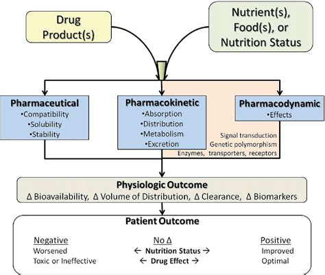 Figure 1 from Food and drug interactions: a general review. | Semantic Scholar