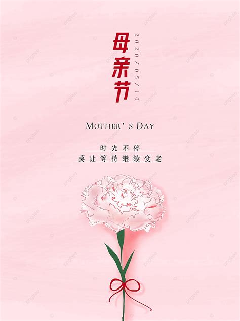 Mother S Day Carnation Pink Background Time, Mother S Day, Carnation, Pink Illustration ...