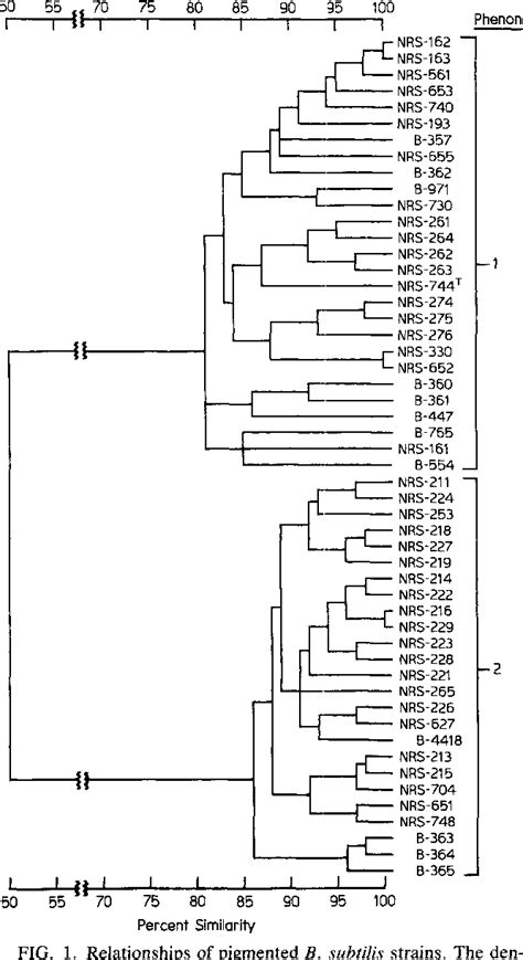 Figure 1 from Taxonomic relationship of black-pigmented Bacillus subtilis strains and a proposal ...