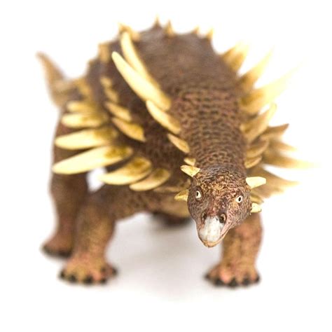 Polacanthus Dinosaur Model