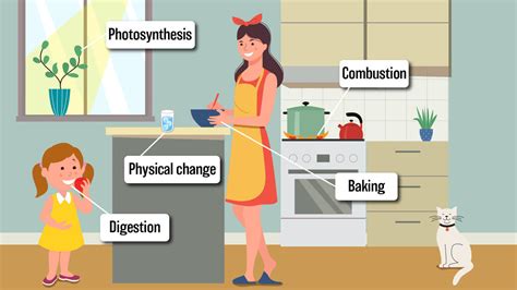 Examples of Chemical Changes in Everyday Life | YourDictionary