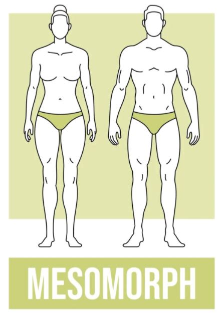 Mesomorph Body Type: What it is and the diet you should follow to reach ...