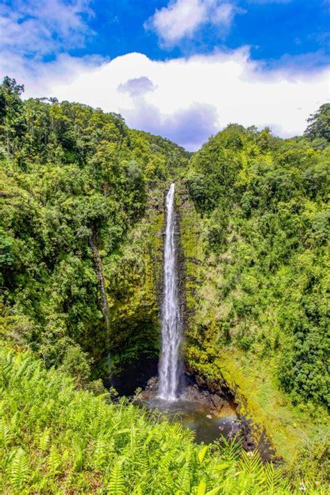 'Akaka Falls - The Intrepid Life