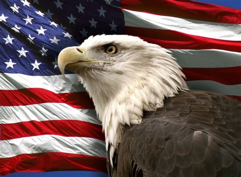 American Flag with Eagle Wallpaper - WallpaperSafari