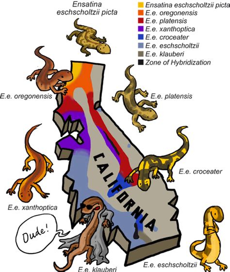 Biology Species Concepts - Shmoop Biology