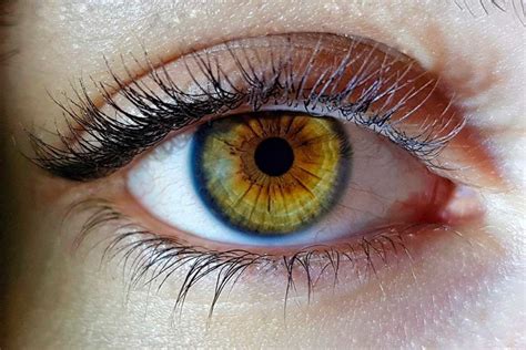 Identifican 50 nuevos genes que intervienen en el color de los ojos - BMN