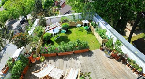 Tobias's rooftop garden in Berlin - Fine Gardening