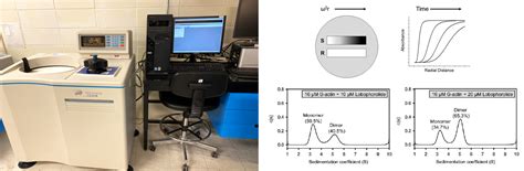 Analytical Ultracentrifugation (AUC) | Biomedical and Molecular ...