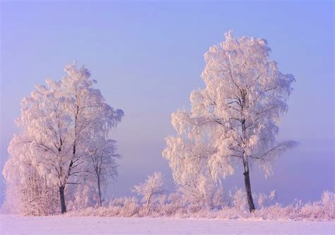 ***Winter Kingdom (Lithuania) by ~ REgiNA ~ / 500px | Winter kingdom ...