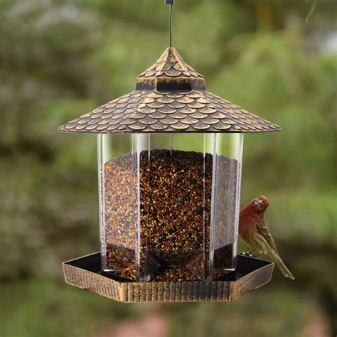 What’s the Best Dove-Proof Bird Feeder? (Reviews-2024) | ThePawsAndClaws.com