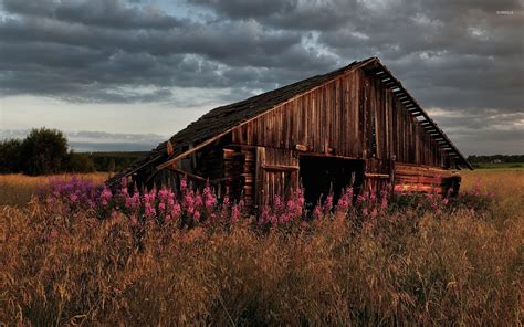 Old barn [3] wallpaper - Nature wallpapers - #43308