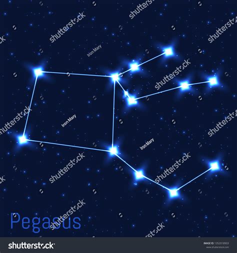 Vector Illustration Pegasus Constellation Cluster Realistic Stock Vector (Royalty Free ...