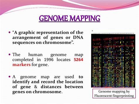 Genome mapping