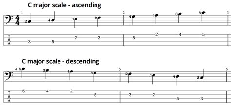 Day 5: C Major Scale - Bass Road Bass Lessons