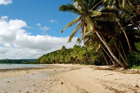 10 Amazing Things to Do in Kadavu - Fiji Pocket Guide