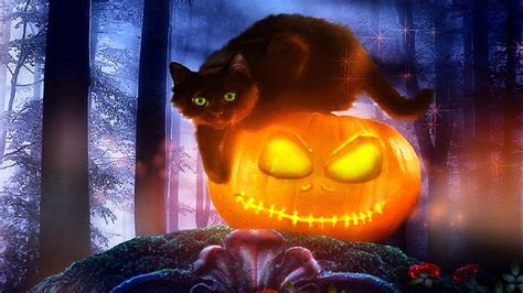 Cute Halloween Kitten Wallpaper