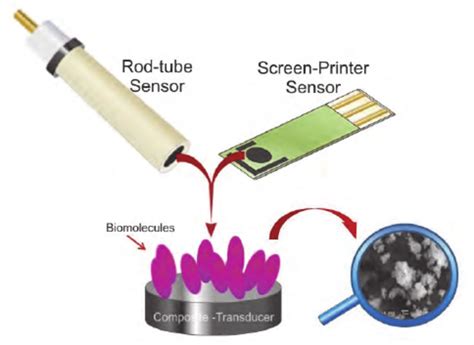 Electrochemical composite biosensor for analyte detection In the... | Download Scientific Diagram