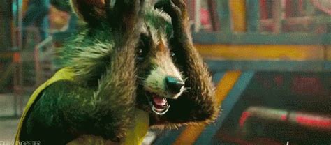 Guardians Of The Galaxy Raccoon GIF - GuardiansOfTheGalaxy Raccoon ...