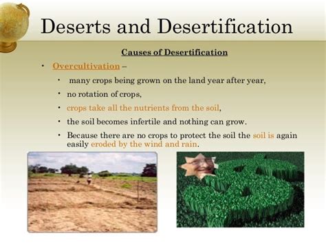 👍 The causes of desertification. Causes and Effects of Desertification ...