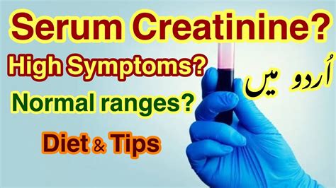 Serum Creatinine Test in Urdu | Symptoms Of High Creatinine Levels - Diet & Tips urdu/hindi ...