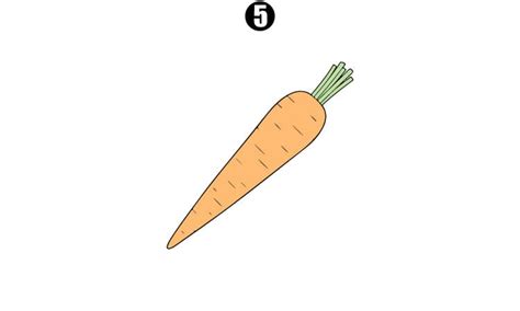 Carrot Drawing - A Step By Step Guide - Cool Drawing Idea