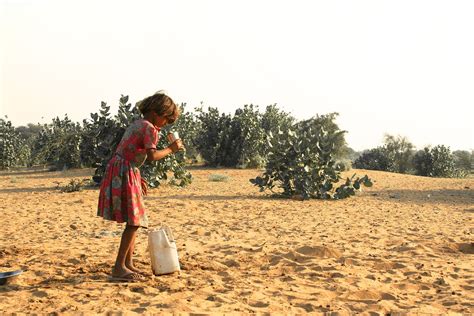 Innovations to Provide Food Security in the Desert - The Borgen Project