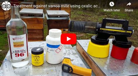 Treatment against varroa mite using oxalic acid and thymol