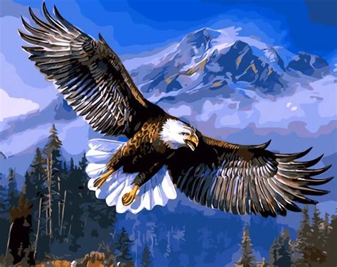 Eagle Flying Frameless Pictures Painting By Numbers DIY Digital Canvas Oil Painting Home Decor ...