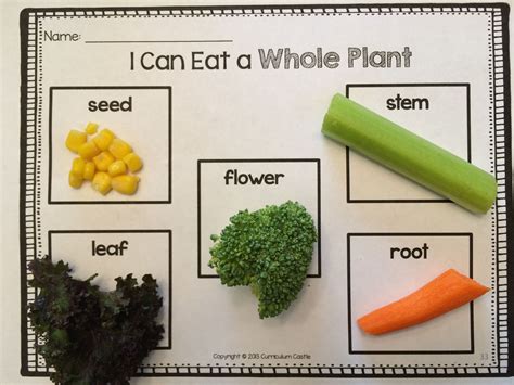 A healthy life: Snack idea: I can eat a whole plant activity! Lear ...