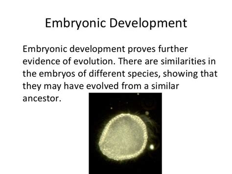 Evidence of evolution biology