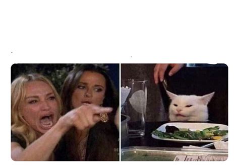 Lady Screaming At Cat Meme Template