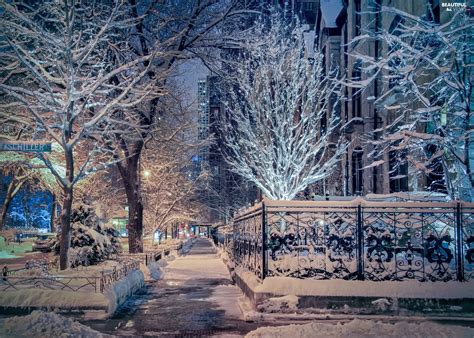 The United States, Chicago, Street, winter, viewes, Fance, Snowy, trees ...